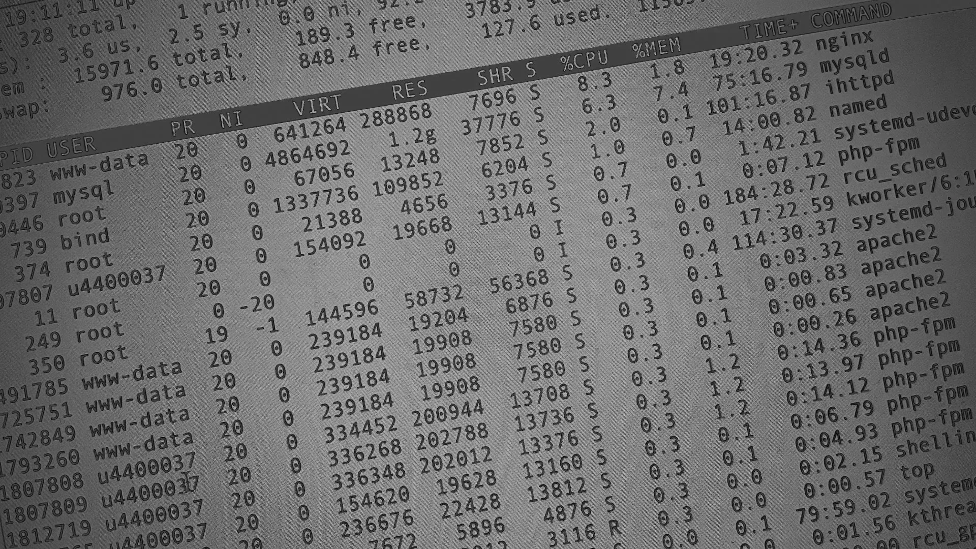 Настройка сервера в Алагире