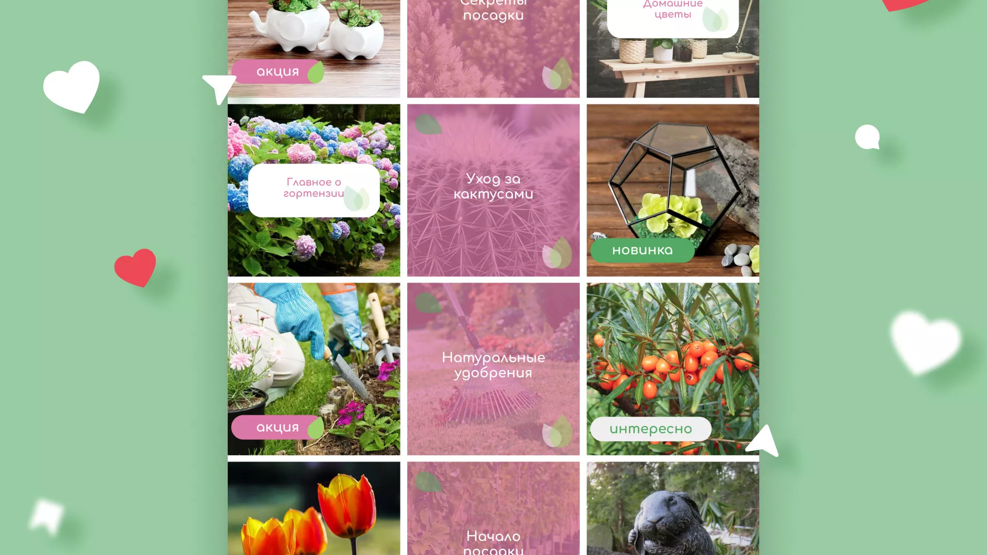 Разработка оформления профиля Instagram для магазина «Floraint» в Алагире